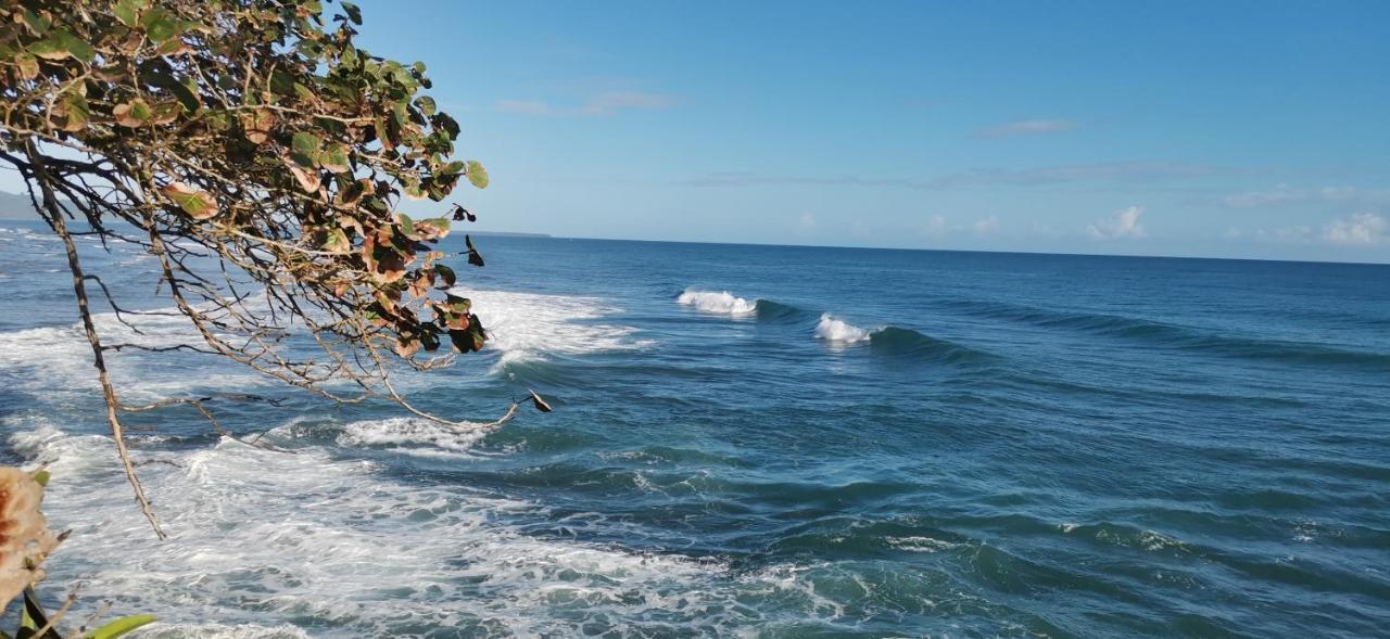 Cabinas Mitchaelle'S Puerto Viejo de Talamanca Экстерьер фото